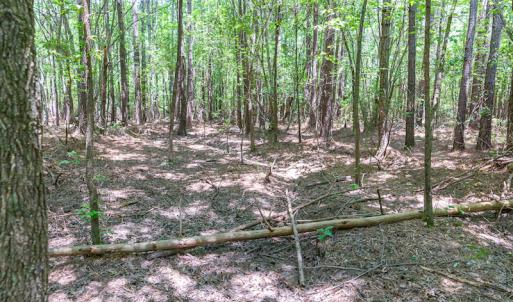 Photo #37 of SOLD property in Off Garrett Road, Liberty, NC 14.4 acres