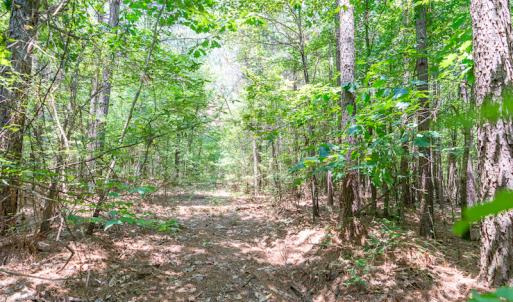 Photo #38 of SOLD property in Off Garrett Road, Liberty, NC 14.4 acres