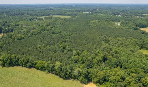 Photo #8 of SOLD property in Off Garrett Road, Liberty, NC 14.4 acres