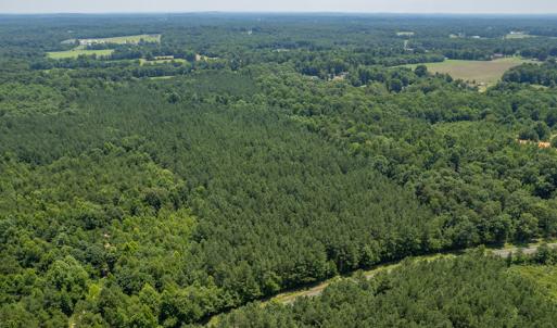 Photo #9 of SOLD property in Off Garrett Road, Liberty, NC 14.4 acres