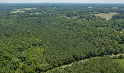Photo #9 of SOLD property in Off Garrett Road, Liberty, NC 14.4 acres