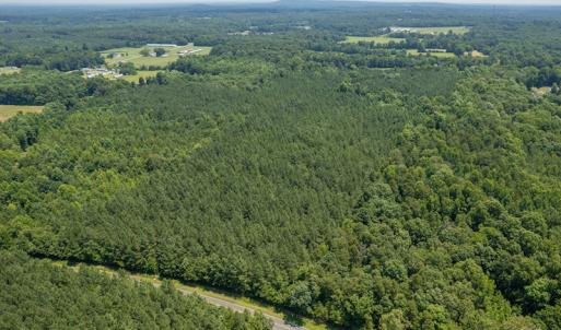 Photo #11 of SOLD property in Off Garrett Road, Liberty, NC 14.4 acres