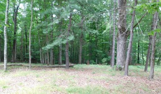 Photo #13 of SOLD property in 1554 Union Church Road, Ferrum, VA 7.3 acres