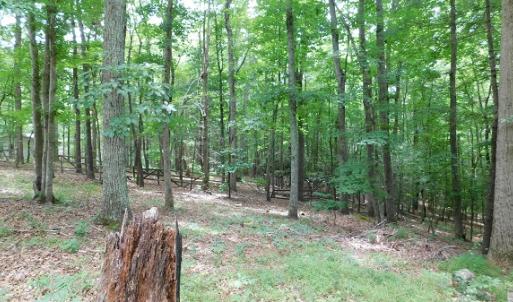 Photo #14 of SOLD property in 1554 Union Church Road, Ferrum, VA 7.3 acres