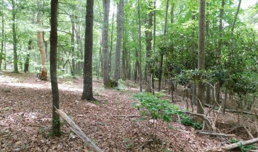 Photo #15 of SOLD property in 1554 Union Church Road, Ferrum, VA 7.3 acres
