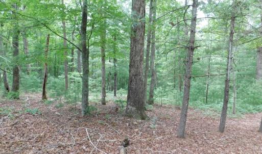 Photo #20 of SOLD property in 1554 Union Church Road, Ferrum, VA 7.3 acres