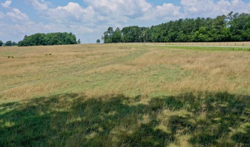 Photo #3 of SOLD property in 409 Doc Thompson Road, Macon, NC 75.3 acres