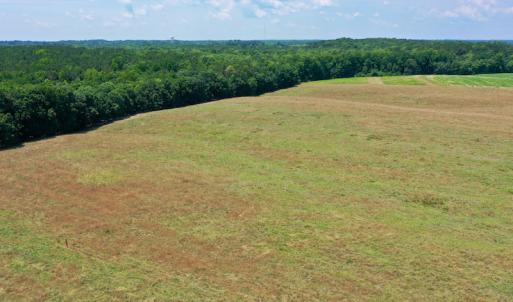 Photo #6 of SOLD property in 409 Doc Thompson Road, Macon, NC 75.3 acres