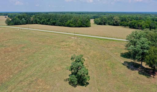 Photo #8 of SOLD property in 409 Doc Thompson Road, Macon, NC 75.3 acres