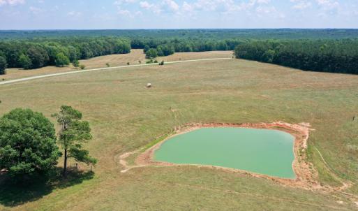 Photo #10 of SOLD property in 409 Doc Thompson Road, Macon, NC 75.3 acres