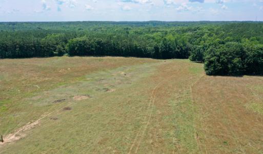 Photo #11 of SOLD property in 409 Doc Thompson Road, Macon, NC 75.3 acres