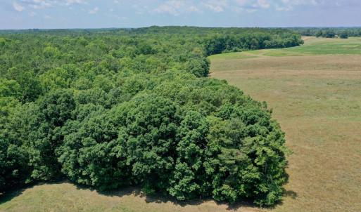 Photo #12 of SOLD property in 409 Doc Thompson Road, Macon, NC 75.3 acres