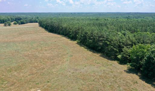 Photo #13 of SOLD property in 409 Doc Thompson Road, Macon, NC 75.3 acres