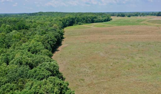 Photo #15 of SOLD property in 409 Doc Thompson Road, Macon, NC 75.3 acres