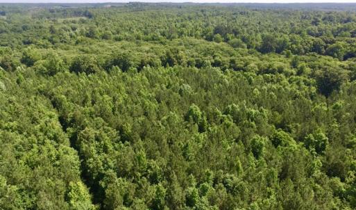 Photo #11 of SOLD property in Off Western Mill Road, Lawrenceville, VA 40.2 acres