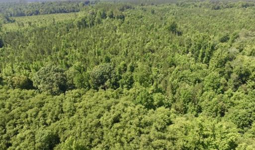 Photo #16 of SOLD property in Off Western Mill Road, Lawrenceville, VA 40.2 acres