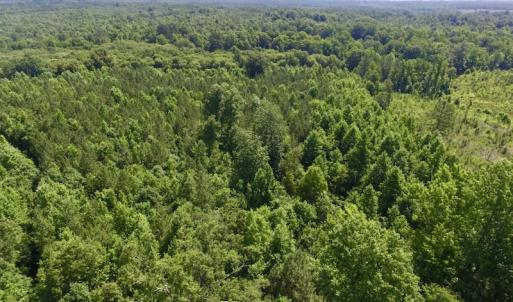 Photo #2 of SOLD property in Off Western Mill Road, Lawrenceville, VA 40.2 acres