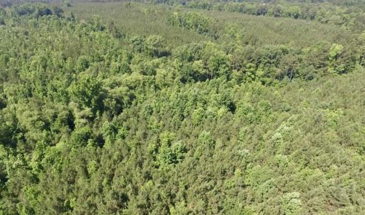 Photo #22 of SOLD property in Off Western Mill Road, Lawrenceville, VA 40.2 acres