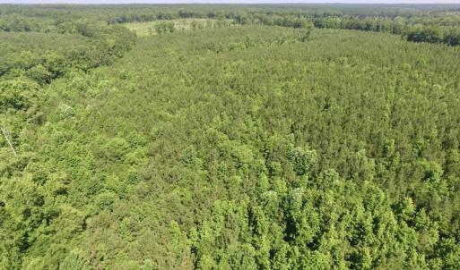 Photo #23 of SOLD property in Off Western Mill Road, Lawrenceville, VA 40.2 acres