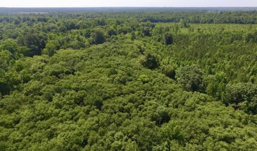 Photo #24 of SOLD property in Off Western Mill Road, Lawrenceville, VA 40.2 acres