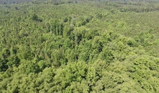 Photo #25 of SOLD property in Off Western Mill Road, Lawrenceville, VA 40.2 acres