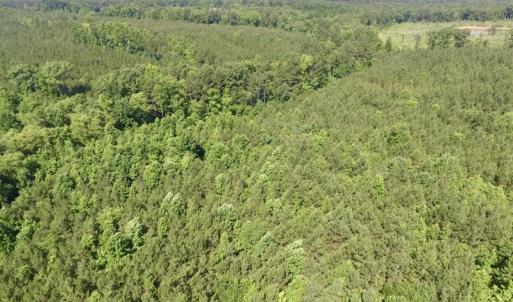 Photo #26 of SOLD property in Off Western Mill Road, Lawrenceville, VA 40.2 acres