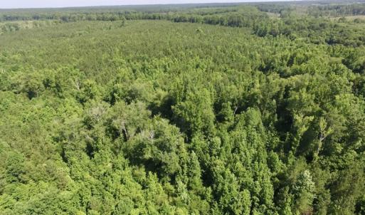 Photo #28 of SOLD property in Off Western Mill Road, Lawrenceville, VA 40.2 acres