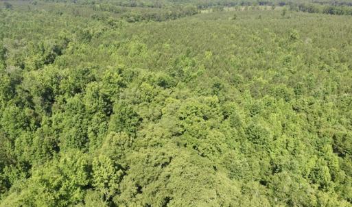 Photo #29 of SOLD property in Off Western Mill Road, Lawrenceville, VA 40.2 acres