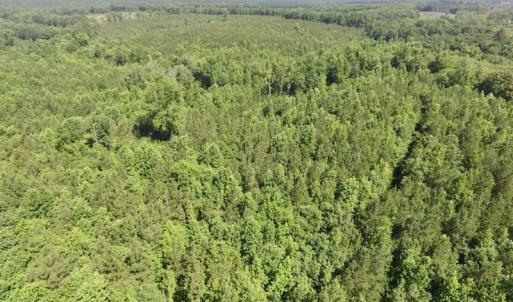 Photo #30 of SOLD property in Off Western Mill Road, Lawrenceville, VA 40.2 acres