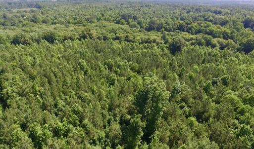 Photo #33 of SOLD property in Off Western Mill Road, Lawrenceville, VA 40.2 acres