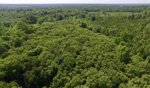 Photo #34 of SOLD property in Off Western Mill Road, Lawrenceville, VA 40.2 acres