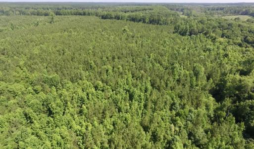 Photo #35 of SOLD property in Off Western Mill Road, Lawrenceville, VA 40.2 acres