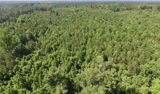 Photo #39 of SOLD property in Off Western Mill Road, Lawrenceville, VA 40.2 acres