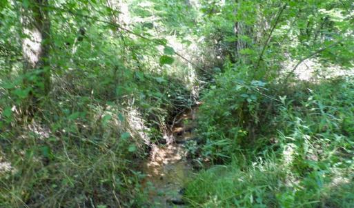 Photo #43 of SOLD property in Off Western Mill Road, Lawrenceville, VA 40.2 acres