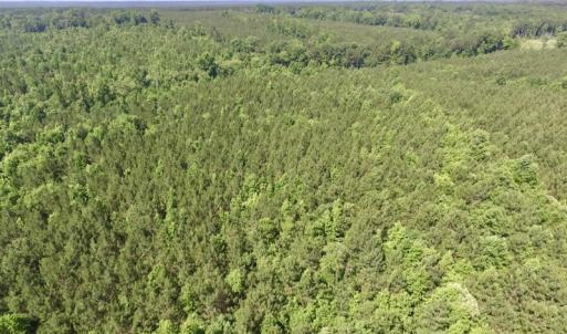 Photo #5 of SOLD property in Off Western Mill Road, Lawrenceville, VA 40.2 acres