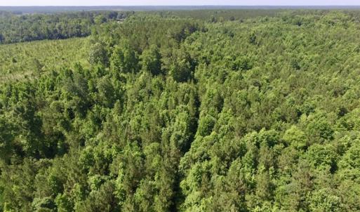 Photo #6 of SOLD property in Off Western Mill Road, Lawrenceville, VA 40.2 acres