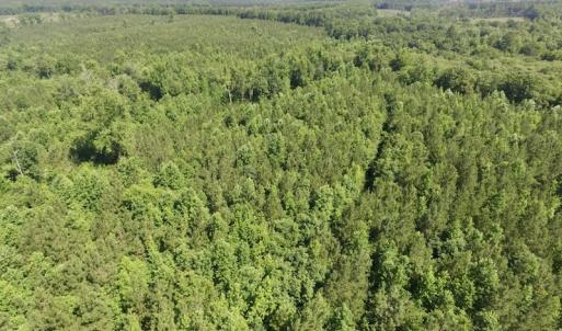 Photo #9 of SOLD property in Off Western Mill Road, Lawrenceville, VA 40.2 acres