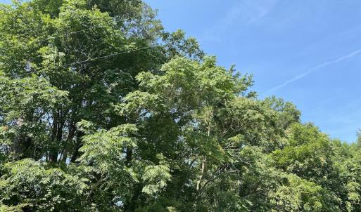 Photo #9 of SOLD property in 1540 Freeman Road, Whaleyville, VA 3.0 acres