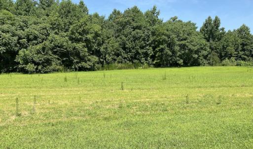 Photo #10 of SOLD property in 1540 Freeman Road, Whaleyville, VA 3.0 acres