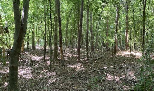 Photo #11 of SOLD property in 1540 Freeman Road, Whaleyville, VA 3.0 acres