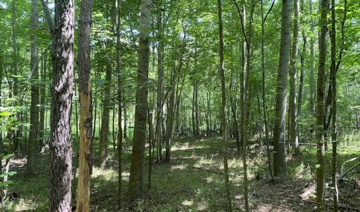 Photo #13 of SOLD property in 1540 Freeman Road, Whaleyville, VA 3.0 acres
