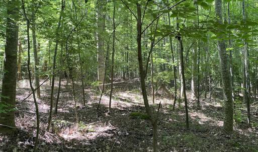 Photo #16 of SOLD property in 1540 Freeman Road, Whaleyville, VA 3.0 acres