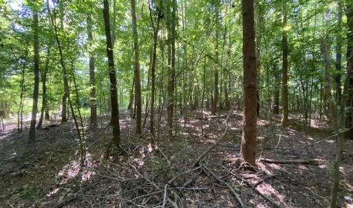 Photo #18 of SOLD property in 1540 Freeman Road, Whaleyville, VA 3.0 acres