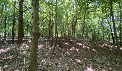 Photo #19 of SOLD property in 1540 Freeman Road, Whaleyville, VA 3.0 acres