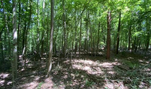 Photo #20 of SOLD property in 1540 Freeman Road, Whaleyville, VA 3.0 acres