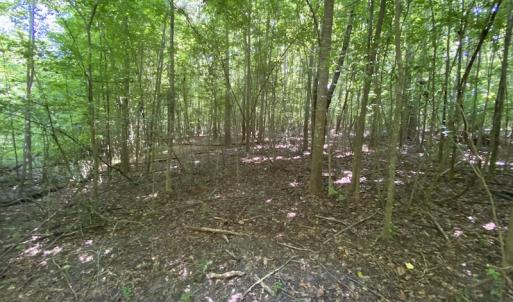 Photo #21 of SOLD property in 1540 Freeman Road, Whaleyville, VA 3.0 acres