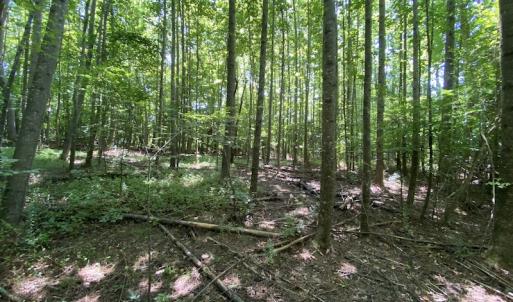 Photo #22 of SOLD property in 1540 Freeman Road, Whaleyville, VA 3.0 acres