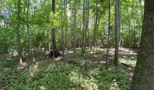 Photo #23 of SOLD property in 1540 Freeman Road, Whaleyville, VA 3.0 acres