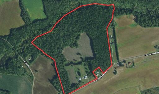 Photo #1 of SOLD property in 311 Yellow Hammer Road, Tyner, NC 74.0 acres
