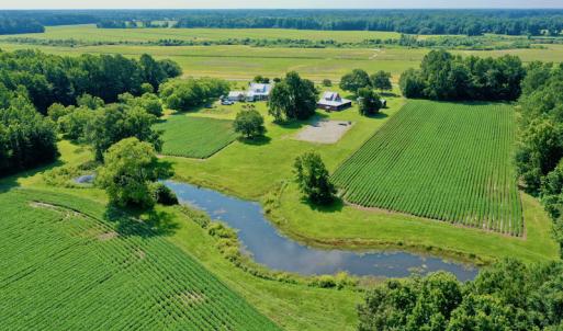 Photo #4 of SOLD property in 311 Yellow Hammer Road, Tyner, NC 74.0 acres